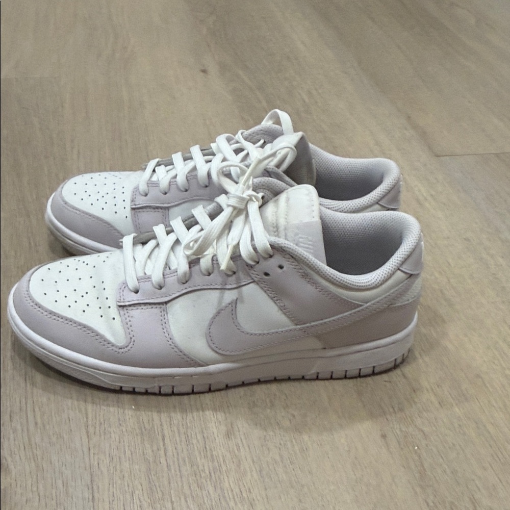 Nike Dunks Women’s